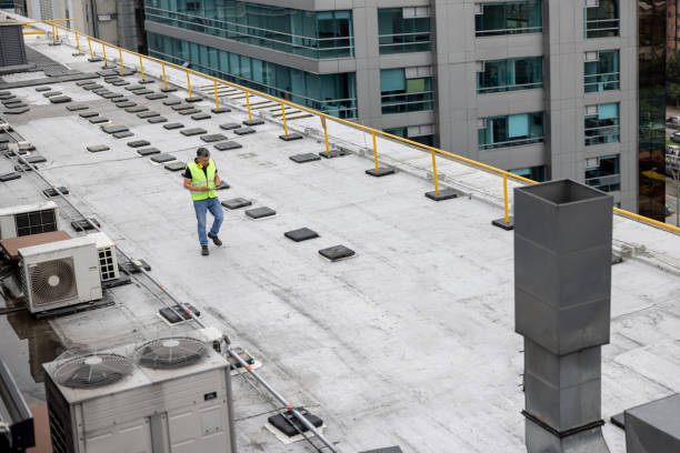 Best Sheet Metal Roofing  in Stevensville, MI