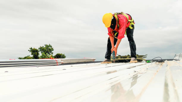Best Tile Roofing Installation  in Stevensville, MI