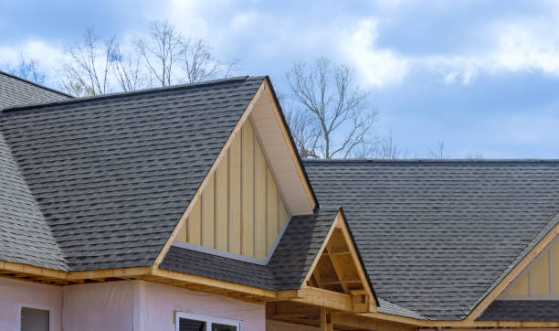 Best Roof Installation  in Stevensville, MI