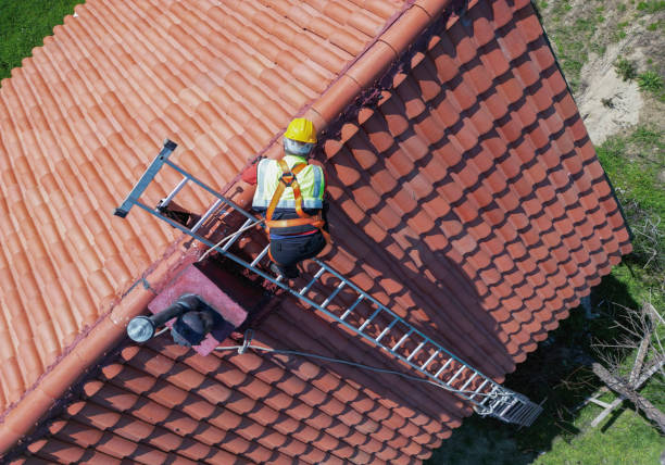 Best Roof Ventilation Installation  in Stevensville, MI